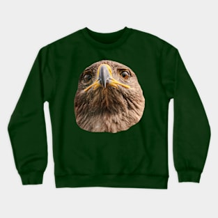 Tawny stare Crewneck Sweatshirt